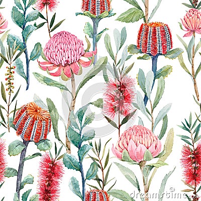 Beautiful seamless floral pattern with watercolor summer protea and australian banksia flowers. Stock illustration. Cartoon Illustration