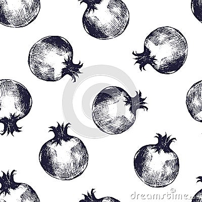 Beautiful seamless pattern with monochrome pomegranates hand drawn in elegant antique style. Ripe fresh fruits on white Vector Illustration