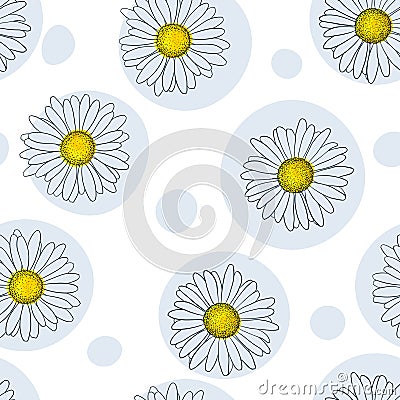 Beautiful seamless pattern with outline daisy flowers and dots, polka. for greeting cards and invitations of the wedding, birthday Vector Illustration