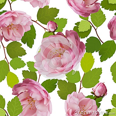 Beautiful seamless pattern with realistic roses on a white background. Seamless pattern with 3d mesh roses. Vector Vector Illustration