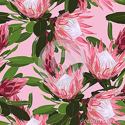 Beautiful seamless pattern of Tropical protea flowers, jungle leaves, exotic print. Stock Photo