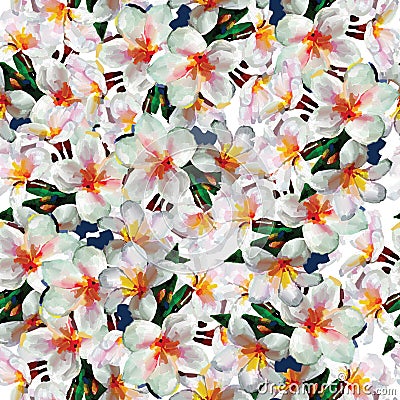 White exotic flowers seamless pattern background Stock Photo