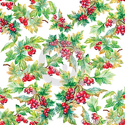 Beautiful seamless pattern in watercolor branches with rowan berries Vector Illustration