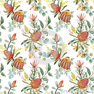 Watercolor australian banksia floral pattern Stock Photo