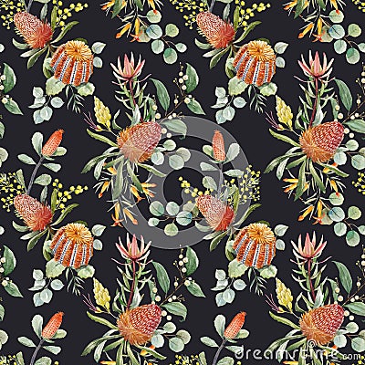 Watercolor australian banksia floral pattern Stock Photo