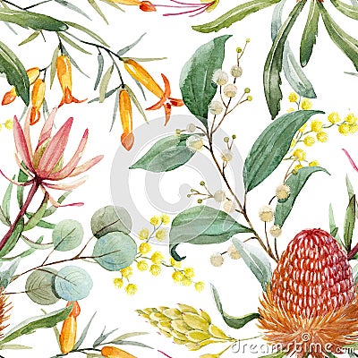 Watercolor australian banksia floral pattern Stock Photo