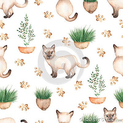 Beautiful, seamless, tileable pattern with watercolor cat animals - cute Siamese cats, potted home flowers, cat footprints, Stock Photo