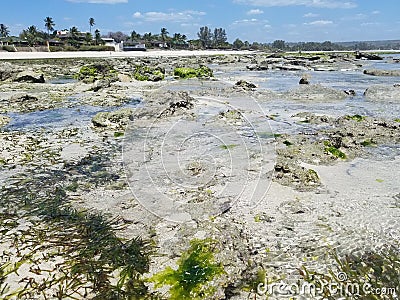 Beautiful seaon the beach Stock Photo