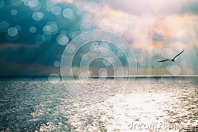 Beautiful seascape with shiny reflection on ocean blue water and sun rays. Stock Photo