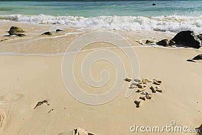 Beautiful seascape view. Shells and fancy pebbles on white sand and turquoise rolling waves on background. Stock Photo