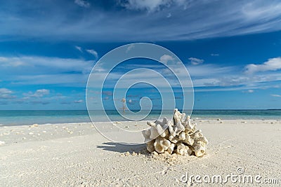 Beautiful seascape with white sand beach and beautiful turquoise Stock Photo
