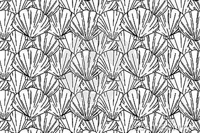 Beautiful seashell pattern on a white background, Nautical design for paper and text. Vector graphics Vector Illustration