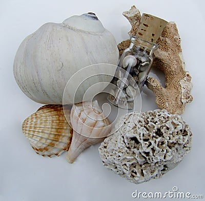 Beautiful seashells, beach-worn coral pieces and small glass bottle Stock Photo