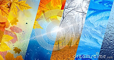 Fall and winter, weather forecast concept Stock Photo