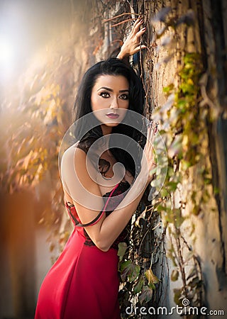 Beautiful sensual woman in red dress posing in autumnal park. Young brunette woman daydreaming near a wall with rusty leaves Stock Photo