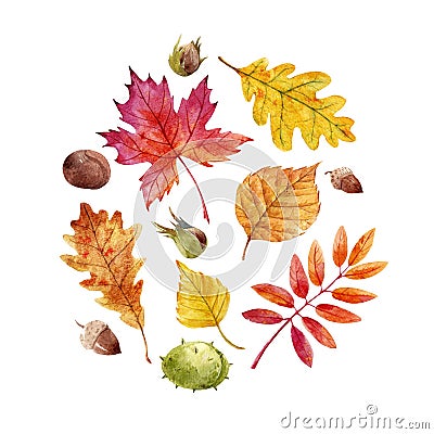 Watercolor fall leaves set Stock Photo