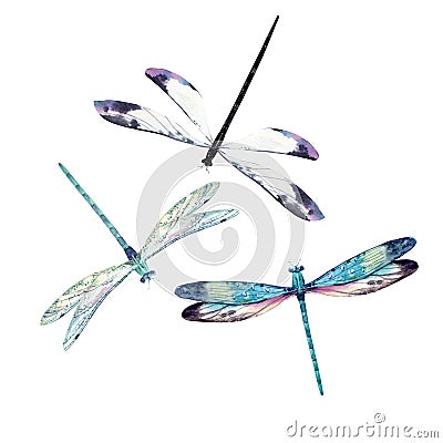 Watercolor dragonfly set Stock Photo