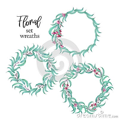 Beautiful set of wreaths with the branches of the eucalyptus. Stock Photo