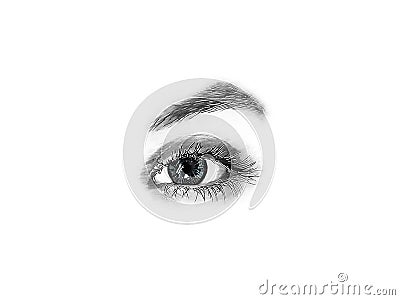 Beautiful sexy drawn female eye close-up isolated on white background Cartoon Illustration