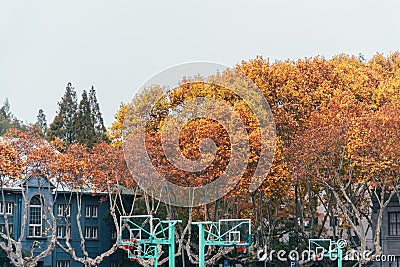 Beautiful shot of autumn-colored trees near the Southeast University in Nanjing Editorial Stock Photo
