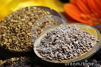 Carom seeds Stock Photo