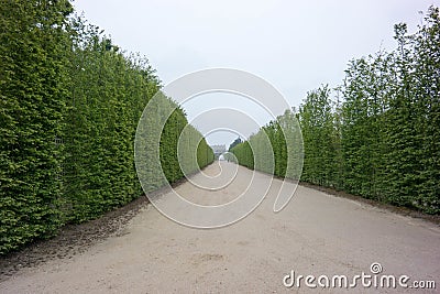 Beautiful shot of the long green alley in the gardens of Versailles. Stock Photo