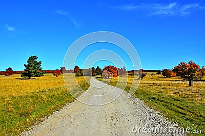Beautiful shot from the old road facing the fields with colorful trees in autumn Stock Photo