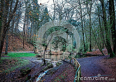 Beautiful shot of a runnel flowing out of a pond in the forest. Stock Photo