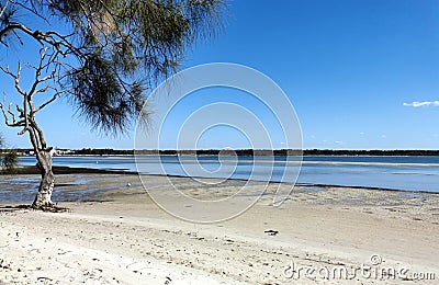 Beautiful shot of a tranquil wild sandy beach, picturesque seascape in the background Stock Photo