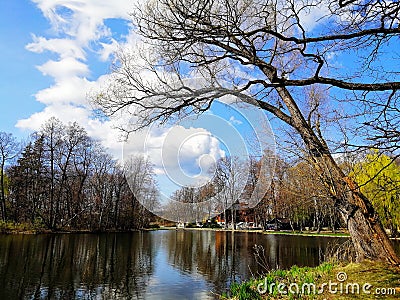 Beautiful shot of trees next to a pond in Jelenia GÃ³ra, Poland. Stock Photo