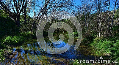 Beautiful shot of trees reflecting on a lake at Chadwick Lakes, Maltese Islands in Malta Stock Photo