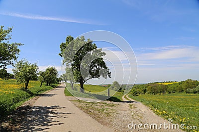 Beautiful shot of two dirt fork roads surrounded by meadows Stock Photo
