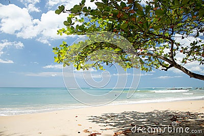 NAI YANG Beach in Phuket Island, Thailand-3 Stock Photo