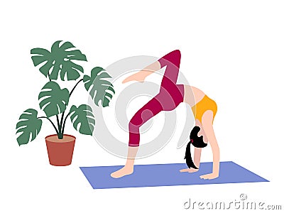 Beautiful simple flat vector of a young slim woman exercising yoga. Bridge pose Vector Illustration