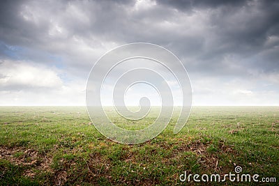 Beautiful simple ground scenery with grass and mist Stock Photo