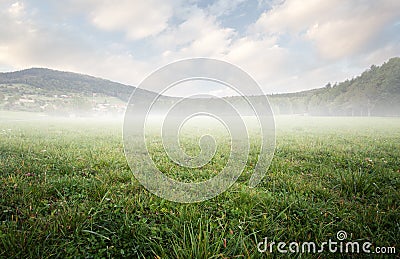 Beautiful simple ground scenery with grass and mist Stock Photo