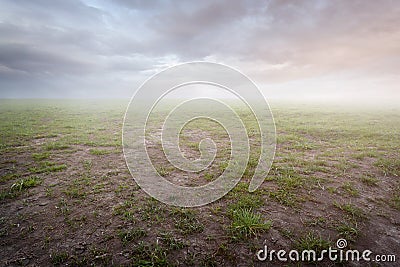 Beautiful simple ground scenery sunset with grass and mist Stock Photo