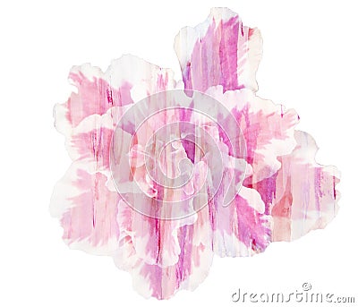 Beautiful single pink flower Azalea, Watercolor Stock Photo