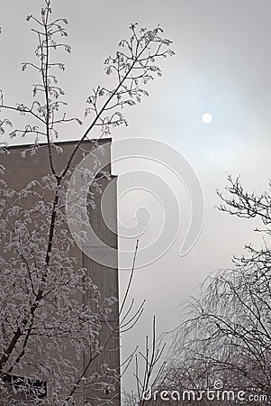 Beautiful skies with mist and pale winter sun Stock Photo