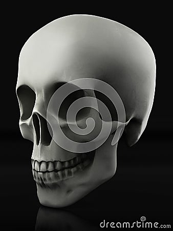 Beautiful skull made of textured metal Stock Photo