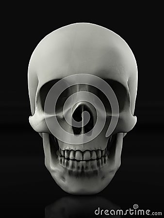 Beautiful skull made of textured metal Stock Photo