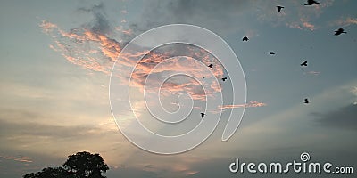 A beautiful sky view at dusk in village Stock Photo