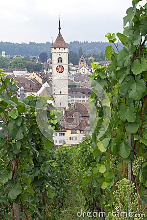 City of Schaffhausen, skyline, Switzerland Stock Photo