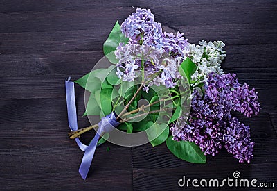 Beautiful small bouquet of lilacs tied with a ribbon. Stock Photo