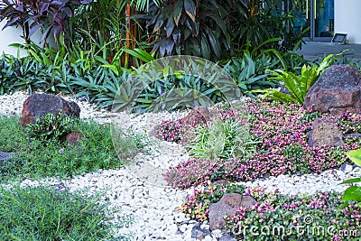 Beautiful small gravel garden, decorated with white shell, brown stone, colorful ground cover plant and green shrubs Stock Photo