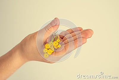Small original yellow flower kept in the hand of a child on a light background Stock Photo