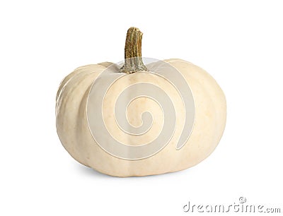 Beautiful small ripe pumpkin isolated Stock Photo