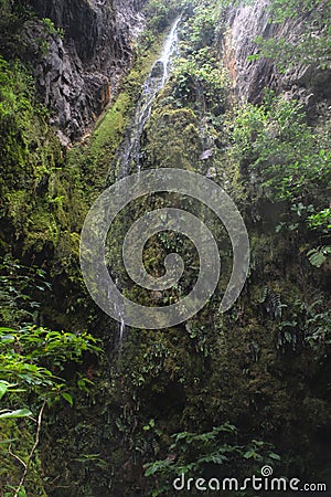 Beautiful small waterfall with silk effect in middle of colombian andean forest Stock Photo