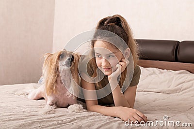 Beautiful smiling caucasian girl is laying on a bed with her cute dog pet. Chinese crested, hairless puppy, family friend, indoor Stock Photo