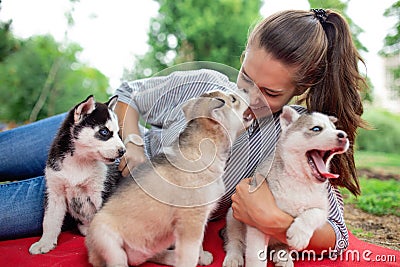 A beautiful smiling woman with a ponytail and wearing a striped shirt is cuddling with three sweet husky puppies while Stock Photo